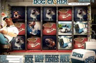 Play This Slot At Celtic Casino